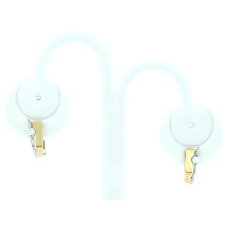 Gold earrings with zircon 333 K3.2312 | GoldJewellery