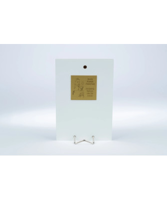 Original communion souvenirs for boy silver