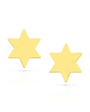 Gold mini star earrings 14k