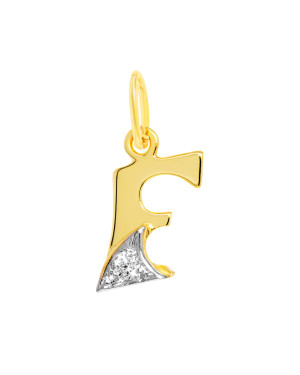 Gold Pendant letter F 14k test