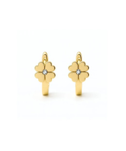Gold earrings