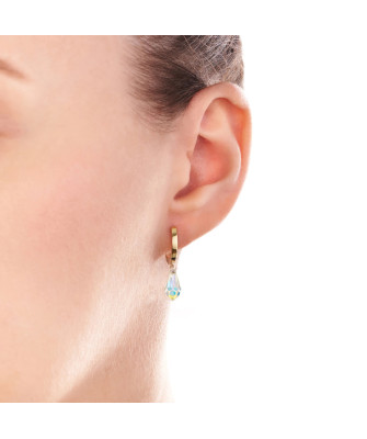Swarovski Crystal 14k Gold Earrings