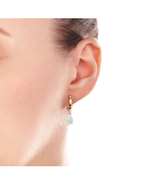 Swarovski Crystal 14k Gold Earrings