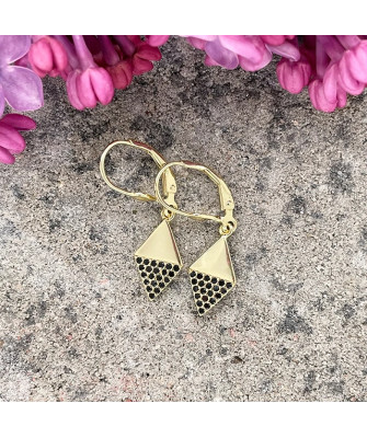 Gold Plated Silver Earrings with Black Zirconia