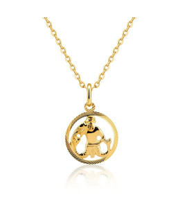 Gold pendant ZODIAC sign AQUARIUS 14k test