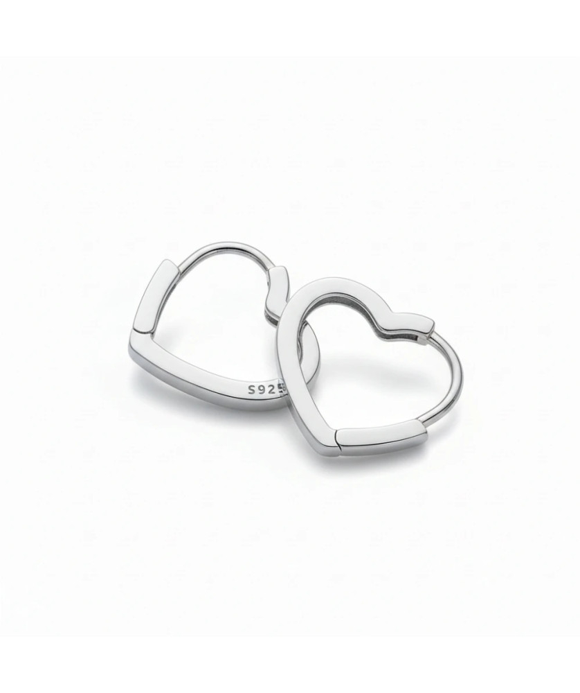 Silver earrings Silver Moon