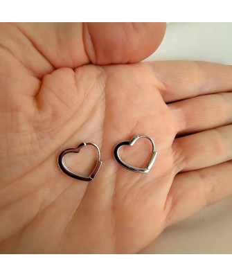 Silver earrings Silver Moon