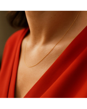 Gold chain 14k - Singapore link with plate 50 cm