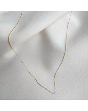 Gold chain 14k - Singapore link with plate 50 cm