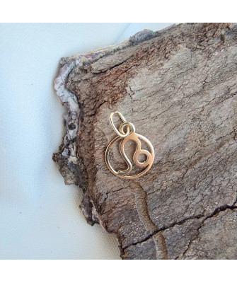 Gold pendant foot charm 14k