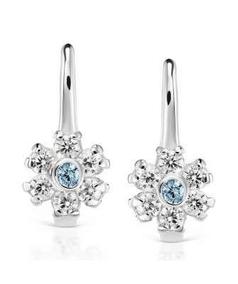 Silver earrings Flowers