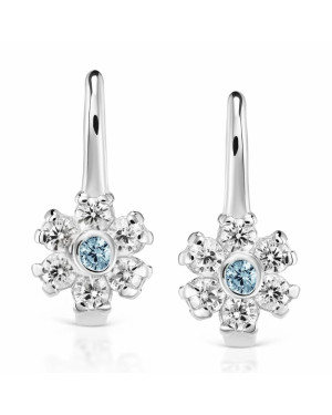 Silver earrings Flowers