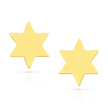 Gold mini star earrings K3.2475 | GoldJewellery